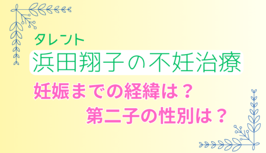 浜田翔子の不妊治療「体外受精」妊娠までの経緯。第二子の性別は？